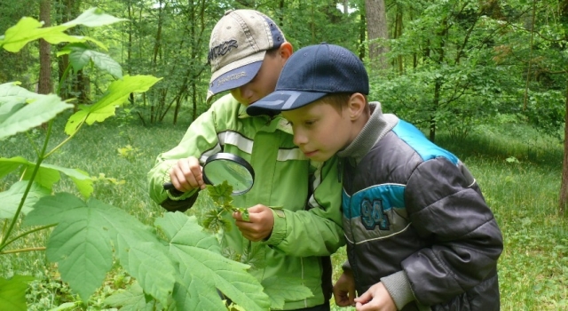 Nová nabídka výukových programů