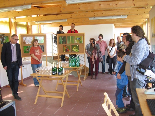 Byla zahájena výstava Ze života hmyzu