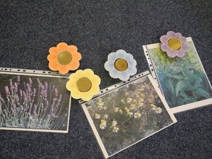 Psa by nevyhnal a přesto v Praze