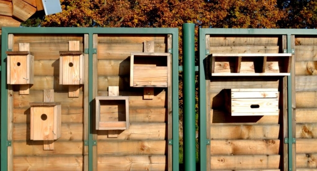 Podzimní vyvěšování ptačích budek