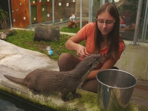 Vlašimskou paraZOO navštívilo už 5 000 návštěvníků