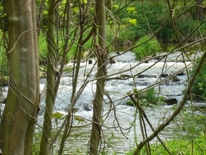 3. Setkání Středočeské Mrkvičky - Vodní inspirace