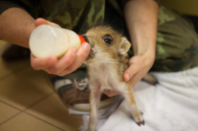 Pomáhat ano, ale s rozmyslem!